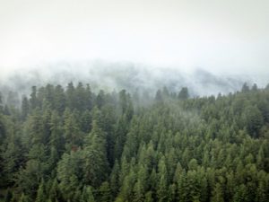 Clifton Individual Sermon Pictures.003