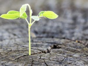 Spiritual Progress.001