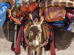 Clifton Individual Sermon Pictures.001